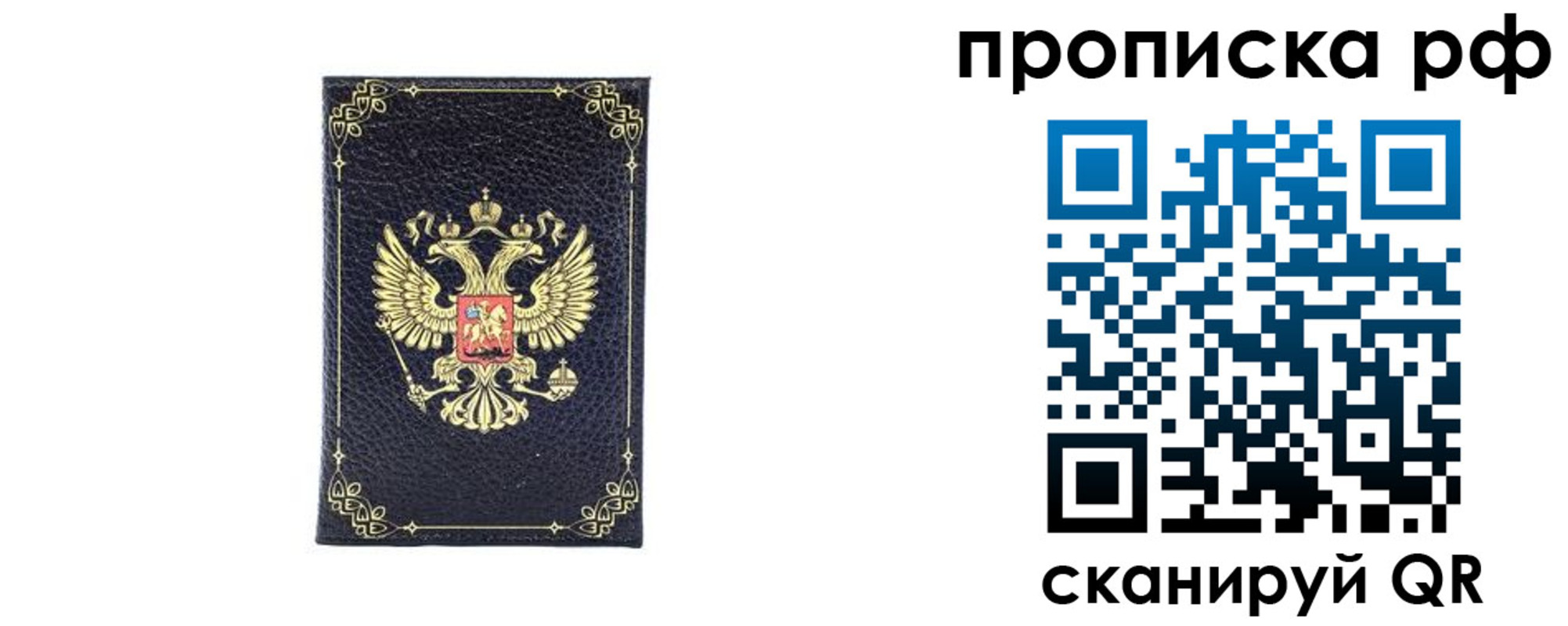 прописка для школы в Шумихе